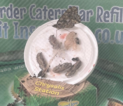 {item_alt_tag}